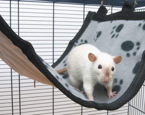 [020 3600] HANGMAT FRET/RAT RELAX DELUXE MEDIU