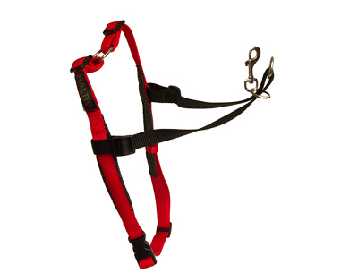 [BR_140916] Halti front control harness rood/zwart, medium