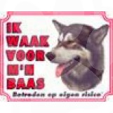 [BR_143182] WAAKB.GROOT/KLEUR ALASKAN MALAMUTE
