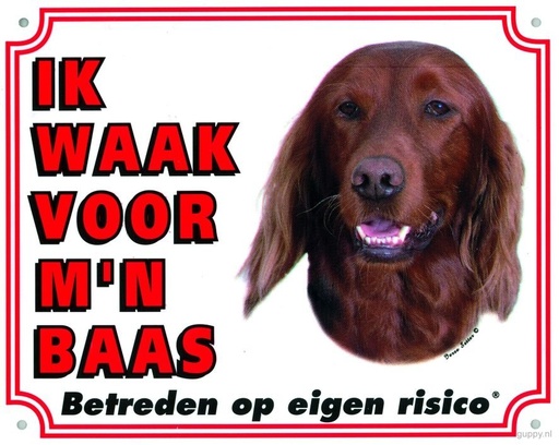 [BR_143185] WAAKBORD GROOT/KLEUR IERSE SETTER