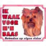 [BR_143199] WAAKB.GROOT/KLEUR YORKSHIRE TERRIER