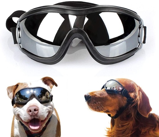 [BR_143653] Hondenbril Alu. Lens blauw sp