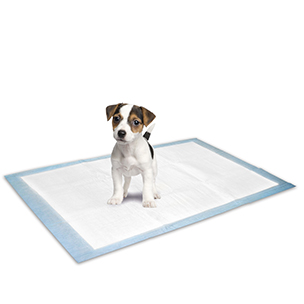 [1031319] Puppytrainingsmatten 10 stuks Small