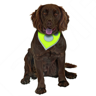 [BR_147181] SAFETY DOG HALSDOEK 15MM, 16-24 CMN