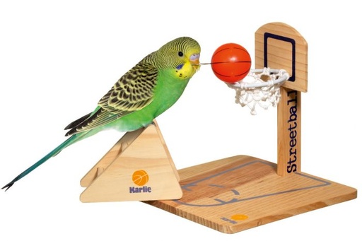 [BR_147531] VOGELSPEELGOED 20x20x20cm