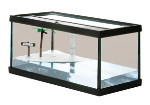 [BR_147684] SCHILDPADBAK TURTLES BAY 35CM