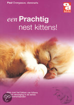 [BR_148771] Een prachtig nest kittens