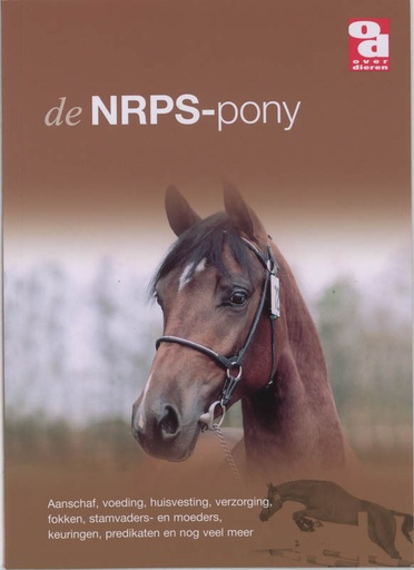 [BR_148796] Nederlandse rijpony