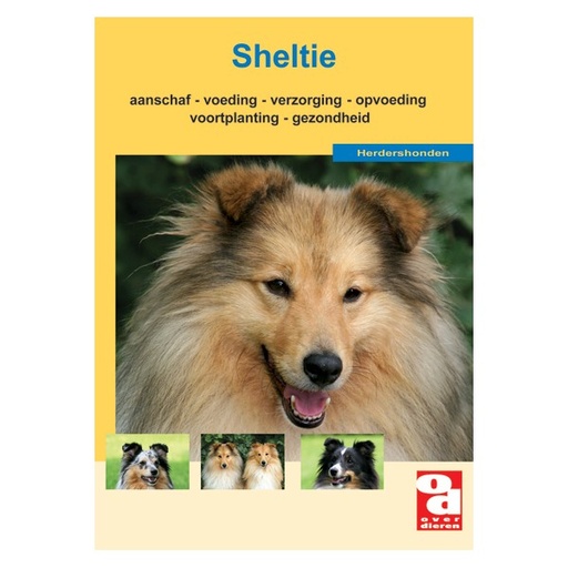 [BR_148813] Sheltie