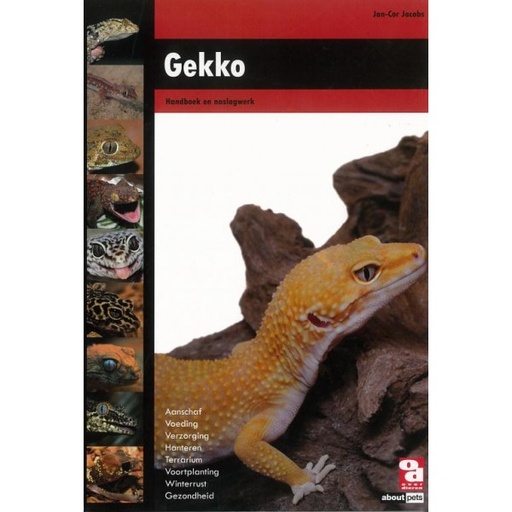 [BR_148829] Gekko