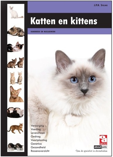 [BR_148833] Katten en kittens