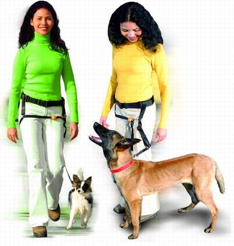 [BR_149129] # Lind Guide grote hond