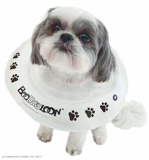 [BR_149409] # Hondenkraag Boobooloon XS 8-18cm op=op