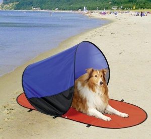 [BR_150008] SMART SUNFUN 144.5X69X67