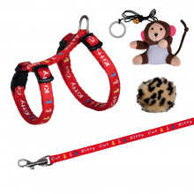 [BR_152515] Cadeauset met tuig, lijn en 2 speeltjes