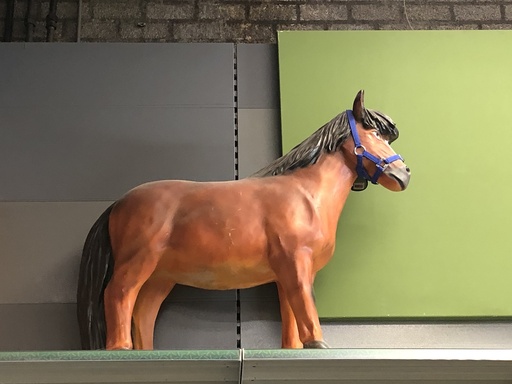 [BR_153044] Beeld pony