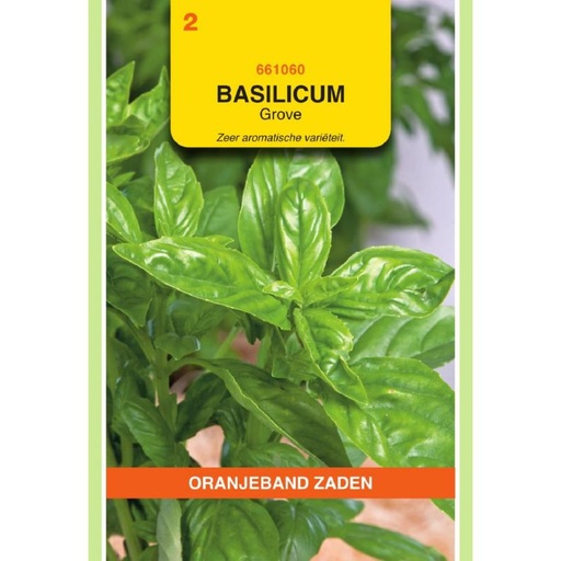 [BR_155570] OBZ Basilicum Grove