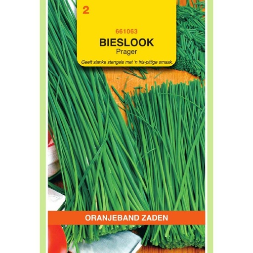 [661063] OBZ Bieslook Prager (fijne)