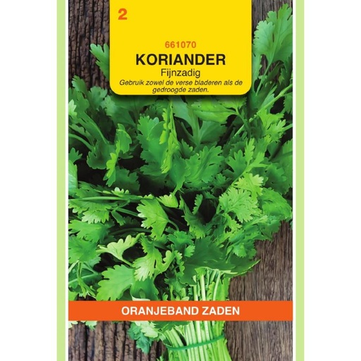 [661070] OBZ Koriander