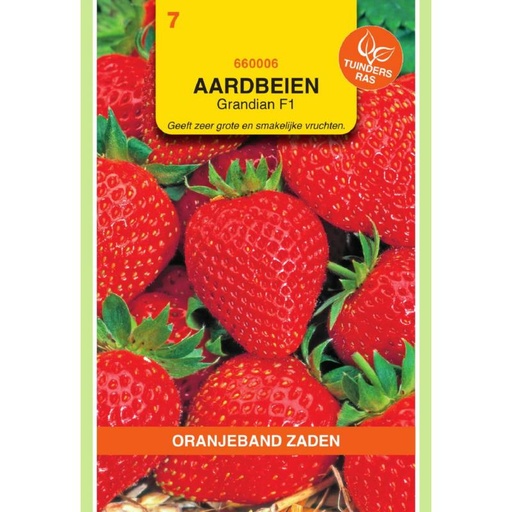 [660006] OBZ Aardbeien Grandian (vh Sarian) F1