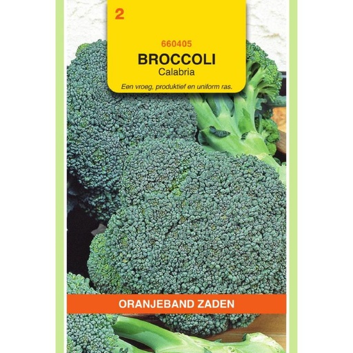 [BR_155592] OBZ Broccoli Calabria