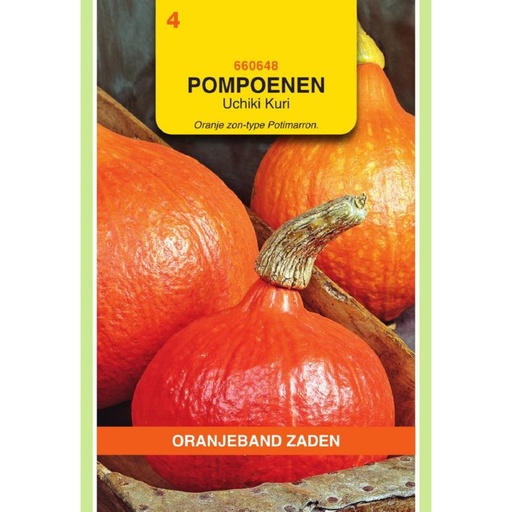 [660648] OBZ Pompoenen Uchiki Kuri