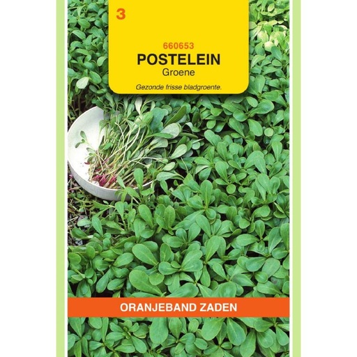 [BR_155602] OBZ Postelein Groene