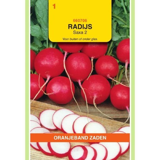 [660706] OBZ Radijs Saxa 2