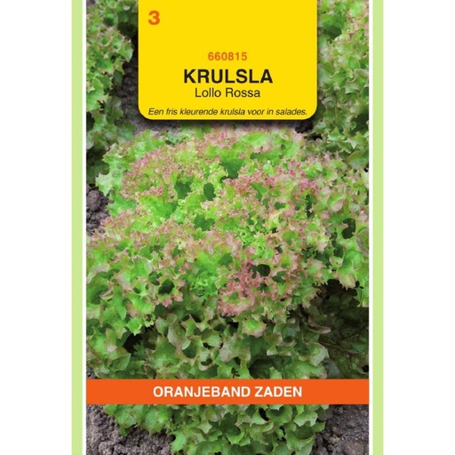 [BR_155614] OBZ Krulsla Lollo Rossa