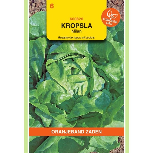 [BR_155616] OBZ Kropsla Milan