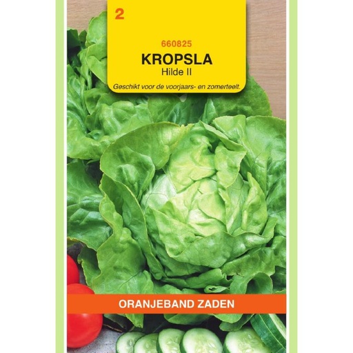 [660825] OBZ Kropsla Hilde II