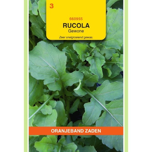 [BR_155628] OBZ Rucola Gewone