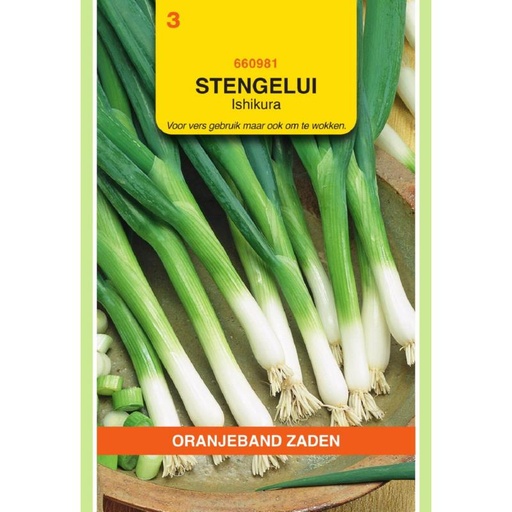 [BR_155635] OBZ Stengelui Ishikura
