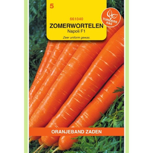 [BR_155642] OBZ Wortelen Laguna F1