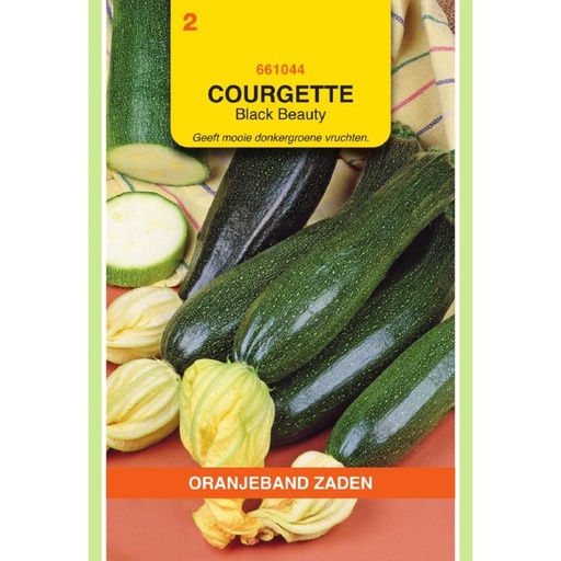 [661044] OBZ Courgette Black Beauty
