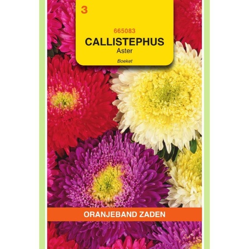 [BR_155654] OBZ Callistephus, Aster Boeket gemengd