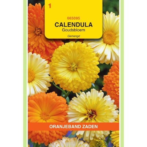 [665095] OBZ Calendula, Goudsbloem gemengd