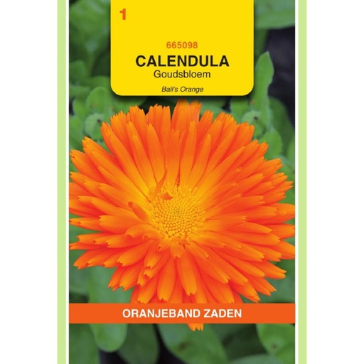 [BR_155657] OBZ Calendula, Goudsbloem Ball's Orange