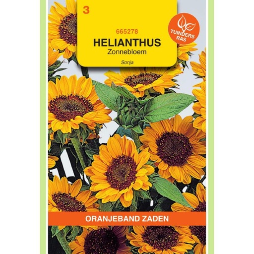 [665278] OBZ Helianthus, Zonnebloem Sonja