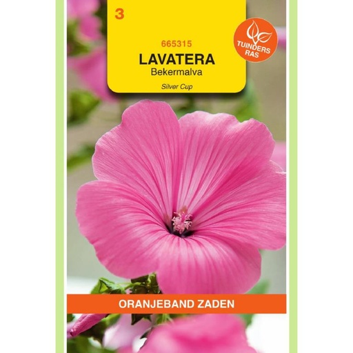 [BR_155671] OBZ Lavatera, Bekermalva Silver Cup