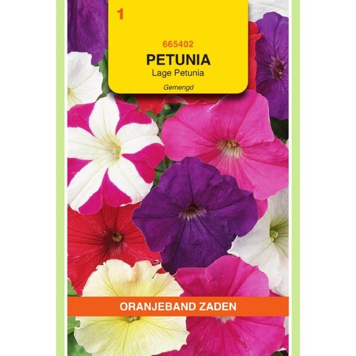 [BR_155678] OBZ Petunia laag gemengd