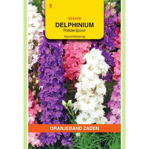 [665446] OBZ Delphinium, Ridderspoor Hyacinthbloemig gemengd