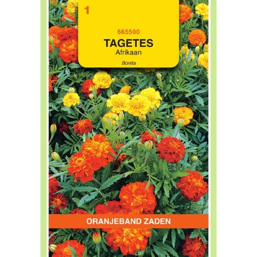 [BR_155682] OBZ Tagetes, Afrikaan Bonita gemengd