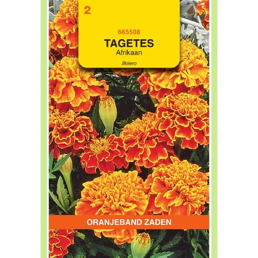 [665508] OBZ Tagetes, Afrikaan Bolero (vh Queen Sophia)
