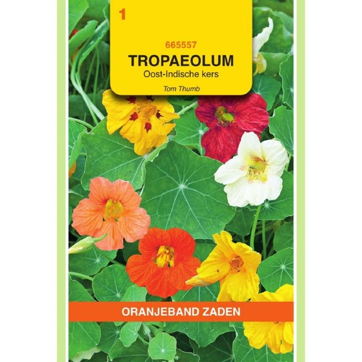 [BR_155687] OBZ Tropaeolum, Oost-Indische kers Tom Thumb enkelbl.gemengd
