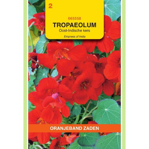 [BR_155688] OBZ Tropaeolum, Oost-Indische kers Empress of India Rood