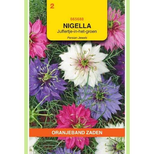 [BR_155693] OBZ Nigella, Juffertje-in-het-groen Persian Jewels gemengd