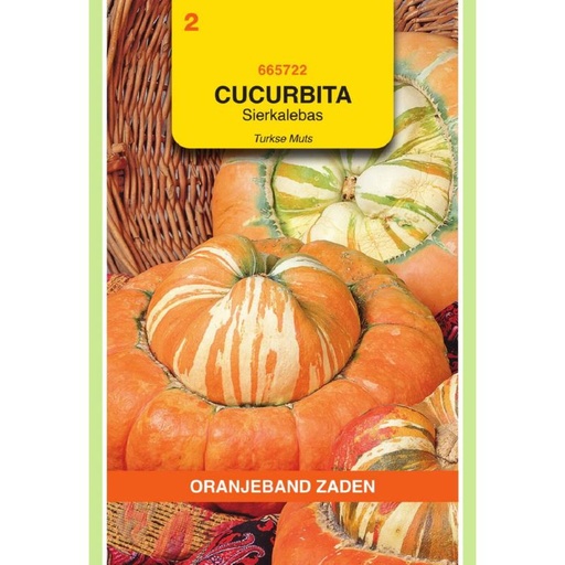 [BR_155696] OBZ Cucurbita, Sierkalebas Turkse Muts