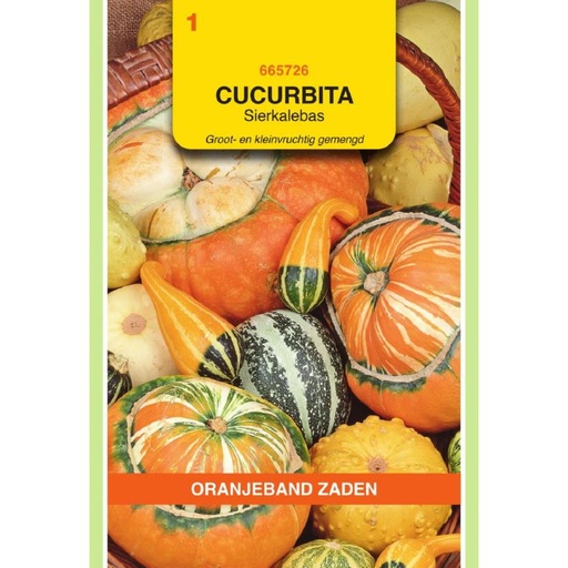 [BR_155698] OBZ Cucurbita, Sierkalebas groot- en kleinvruchtig gemengd