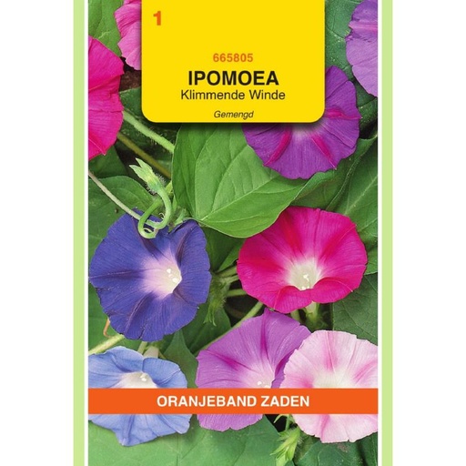 [BR_155700] OBZ Ipomoea, Klimmende Winde, gemengd